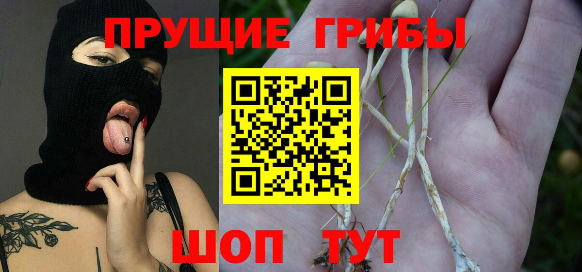 Галлюциногенные грибы прущие грибы  Галлюциногенные грибы Cubensis  Дзержинск  Вход с VPN 